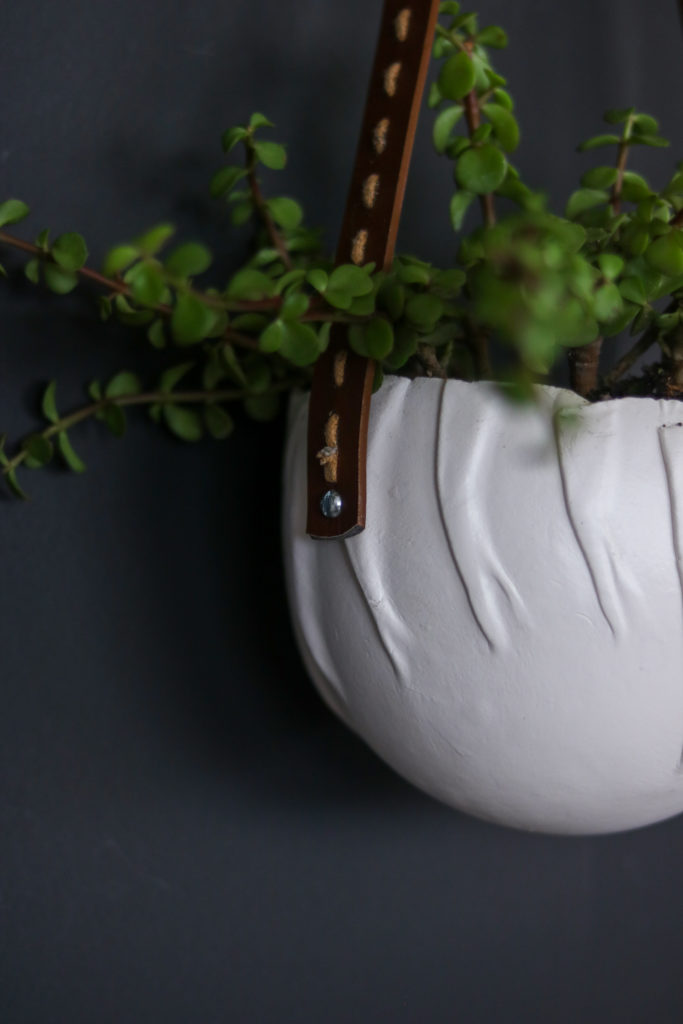 DIY Wall Pots, Veritcal pots, Wall planter, Succulent Wall TUTORIAL