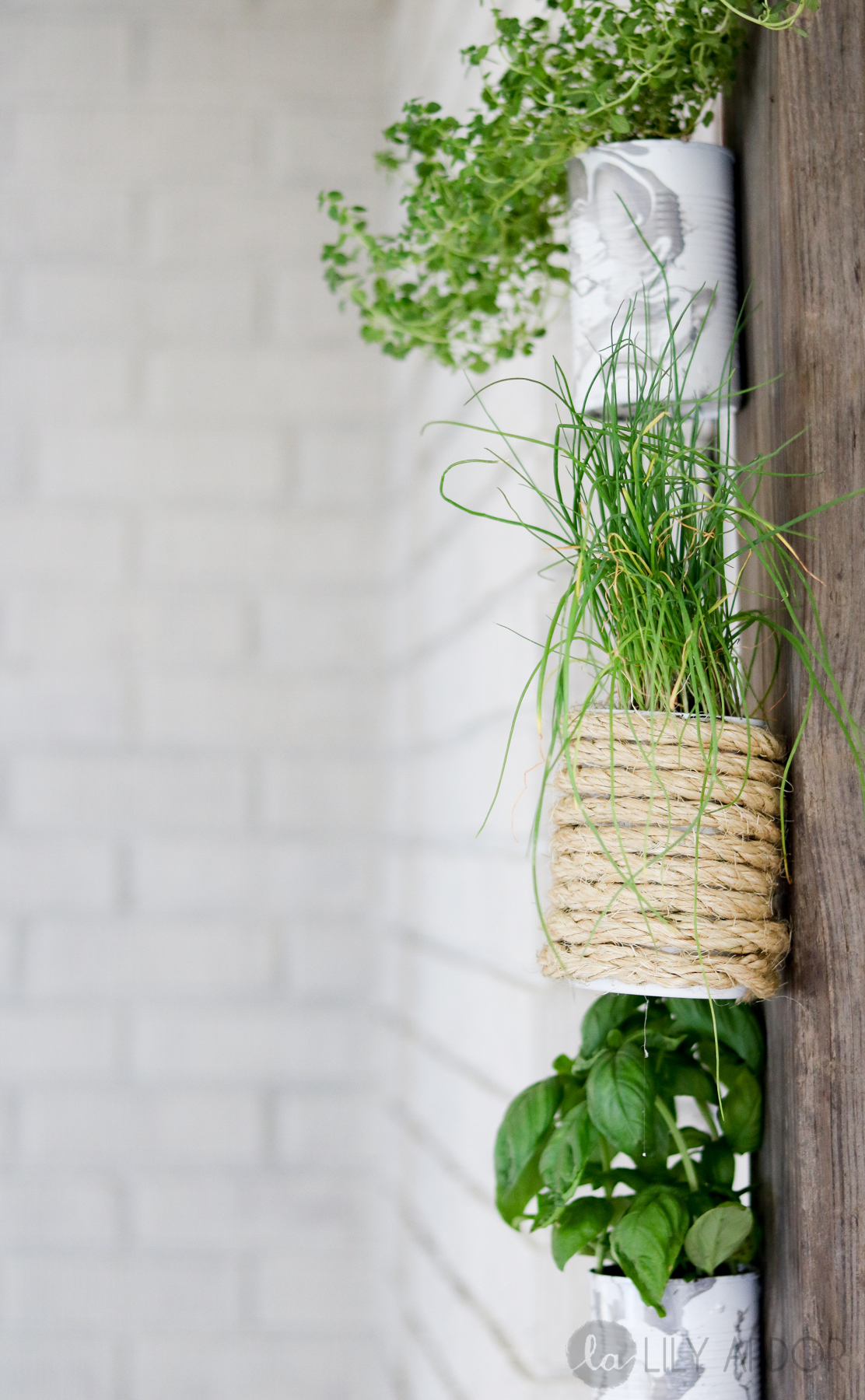 diy herb wall