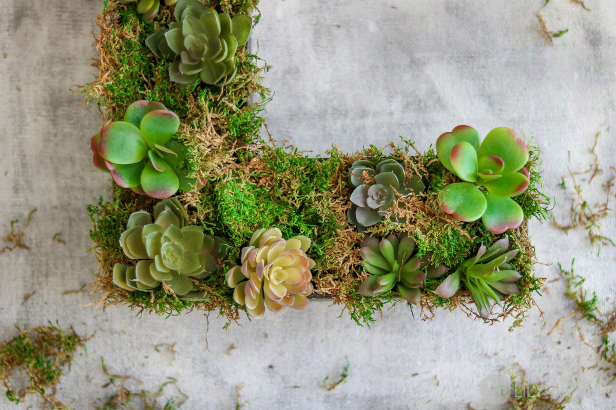 Rustic Home Decor – DIY Succulent Letter