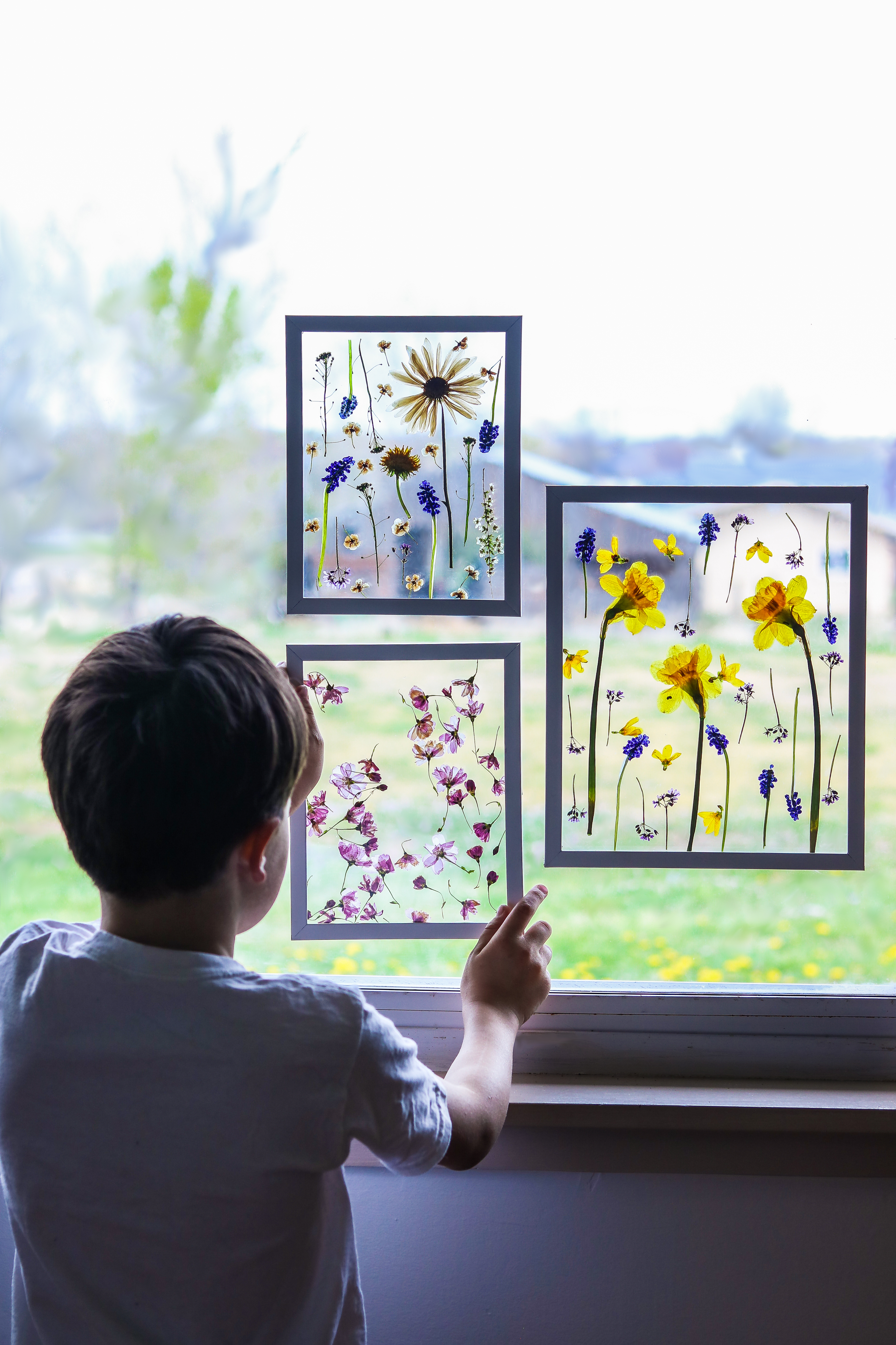 Pressed Flowers and Leaves - Craft Ideas for Kids - 5 Minutes for Mom