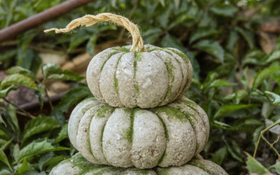 DIY Concrete Pumpkin Idea for fall