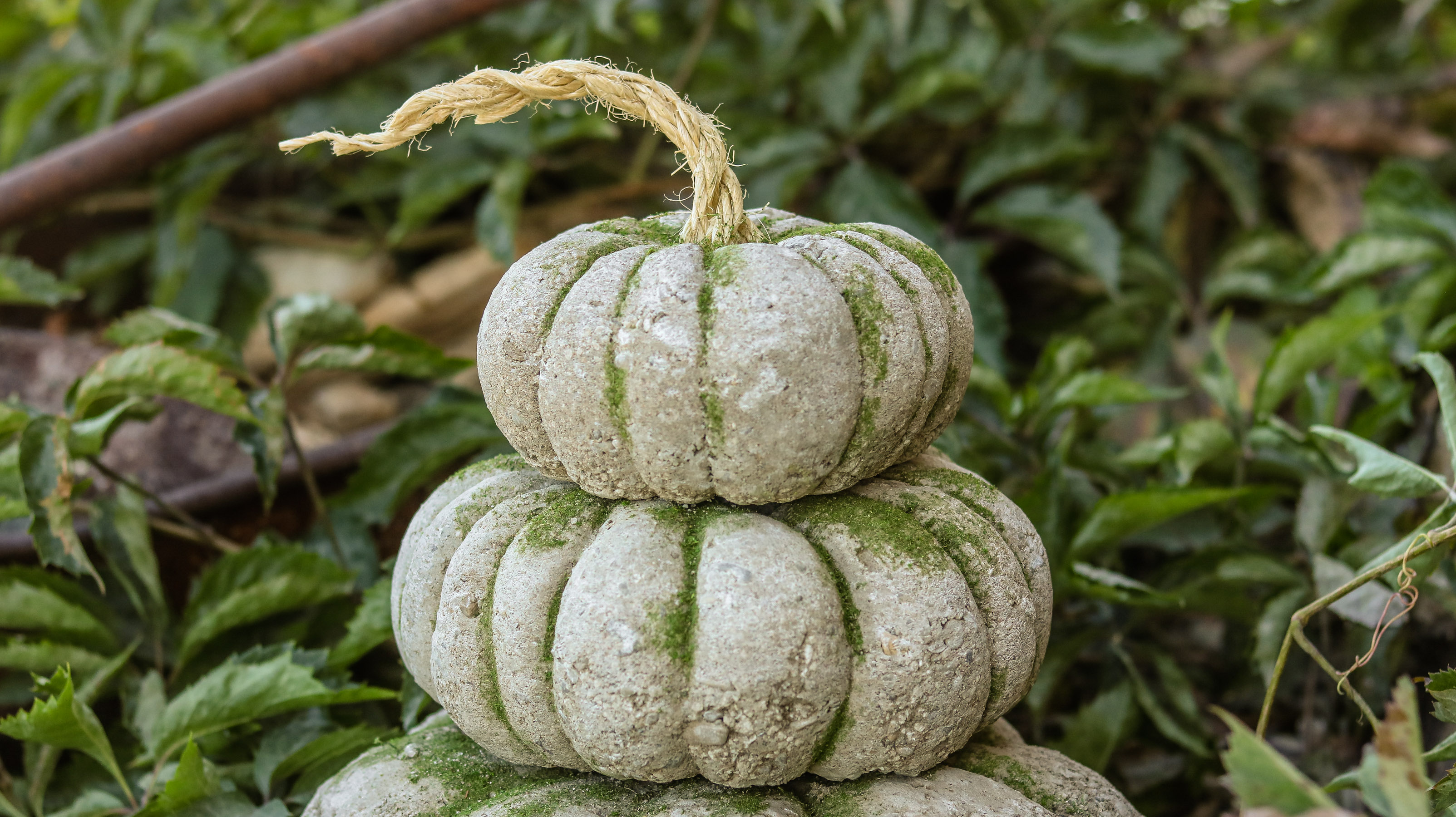 DIY Concrete Pumpkin Idea for fall - Lily Ardor