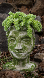 DIY head planter