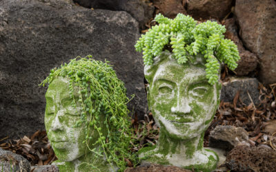 DIY Head Planters from concrete