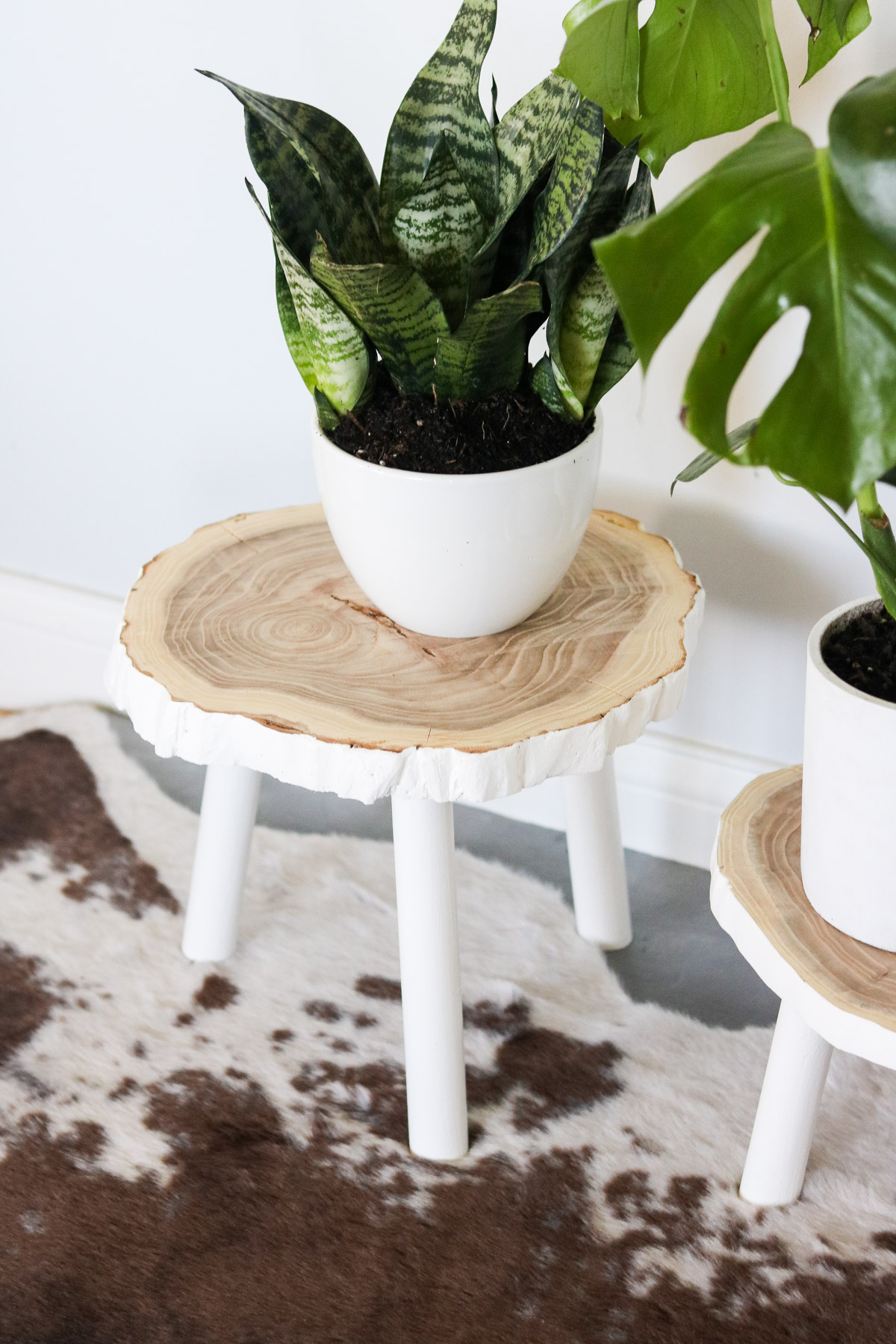 DIY Plant Stand from Wood By Lily Ardor