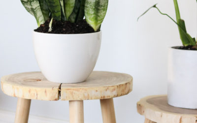 DIY Plant Stands from wood!