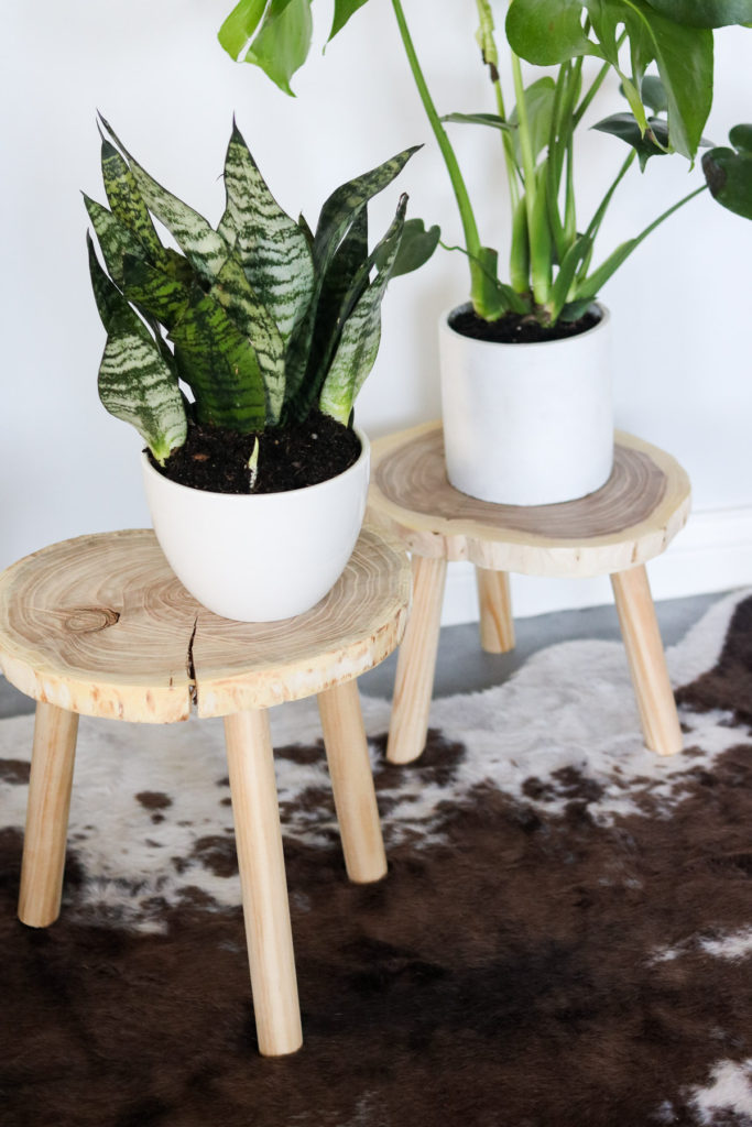 DIY plant stand