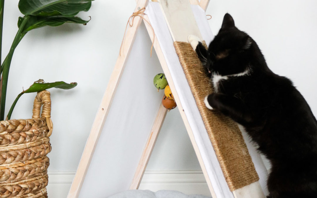 DIY Cat house (Tepee from An Old Tv Tray)