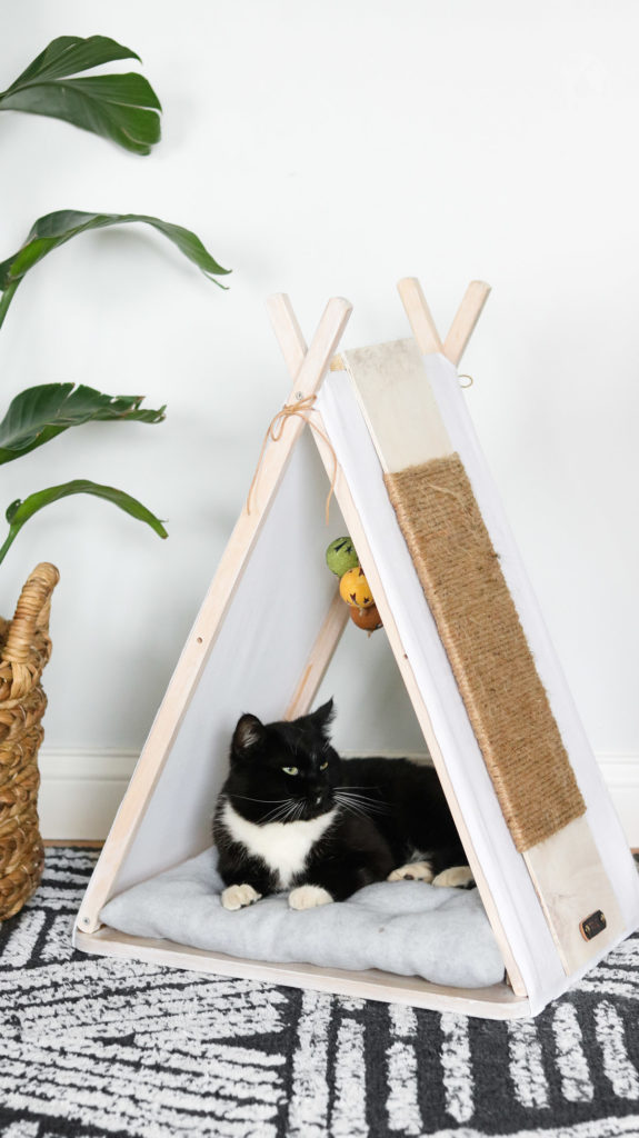 DIY Cat House 