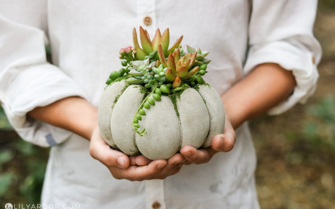 DIY Succulent Concrete Pumpkin