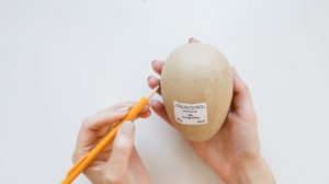 makring a paper mache egg to create an acorn top