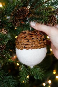 hanging the acorn ornament on the christmas tree