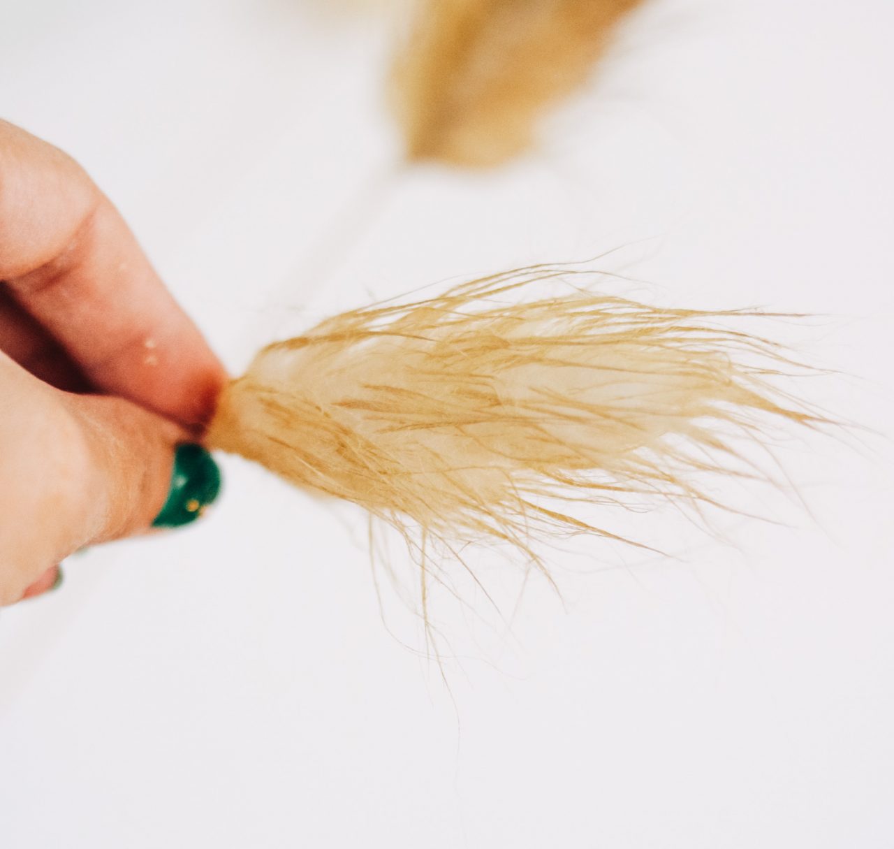 Faux Bunny Tails Lily Ardor