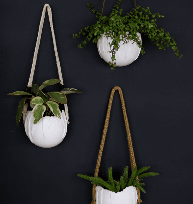 DIY WALL POTS