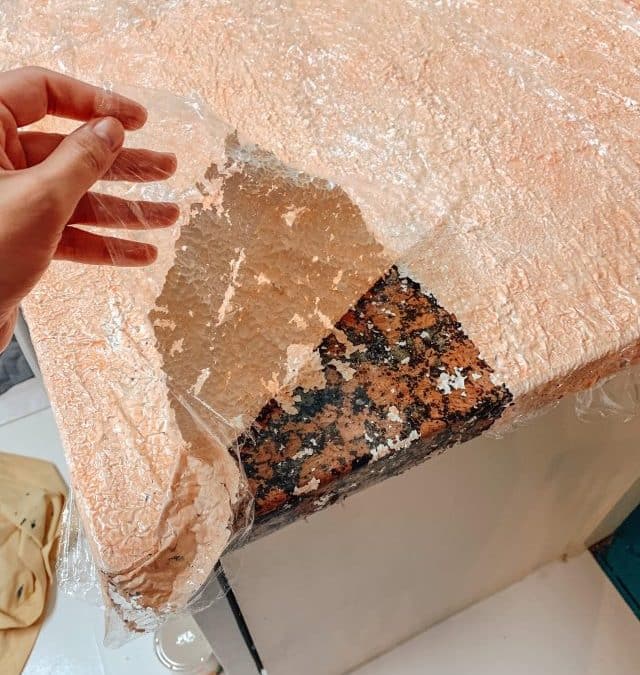 EFFORTLESS PAINT REMOVAL